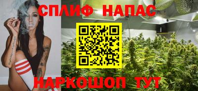 мяу мяу мука Будённовск