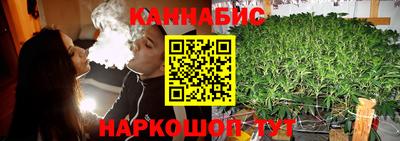 мяу мяу мука Будённовск