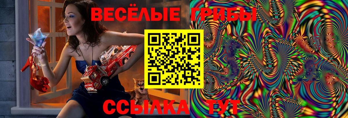 Псилоцибиновые грибы Psilocybine cubensis Нальчик