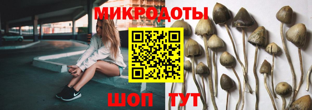 купить закладку  Псилоцибиновые грибы GOLDEN TEACHER  Вход с VPN  Нальчик 